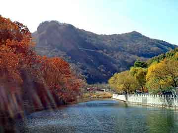 野鸡最新地址